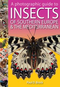Book cver: A photographic guide to INSECTS of southern Europe and the Mediterranean