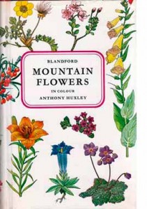 MountainFlowers